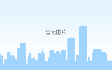 定制电机